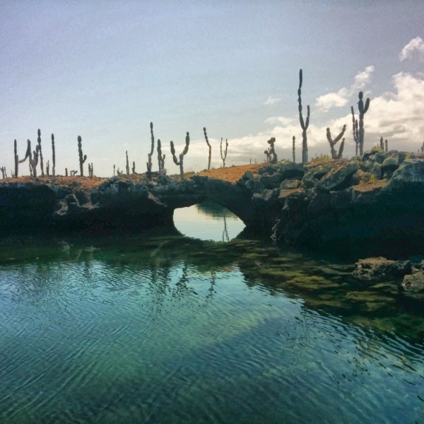 Los Túneles, Isla Isabela (Galápagos) Los Túneles, Isla Isabela (Galápagos)