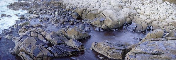 2002 Oia vertido Prestige, Manuel Calavera