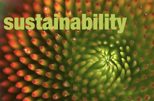 subtle technologies, sustainability